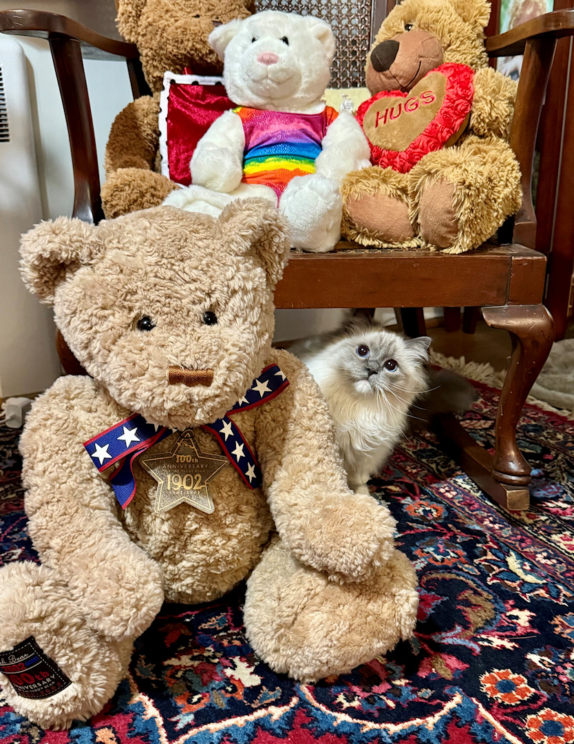 Teddy Bear Sunday and Picnic Potluck
